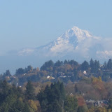  &ndash;  &ndash; 01-Nov-2009