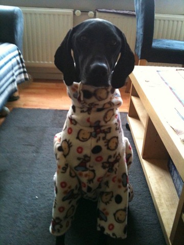 [72521_161273807238979_100000690832015_378141_3169540_n[3].jpg]