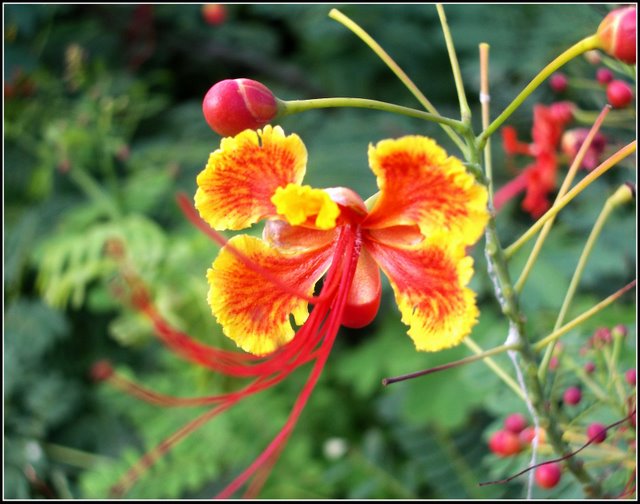 心曠神怡的[80P]