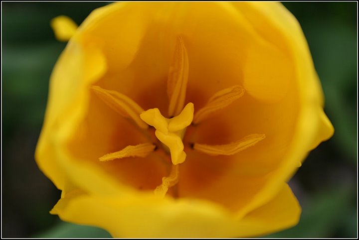 心曠神怡的[80P]