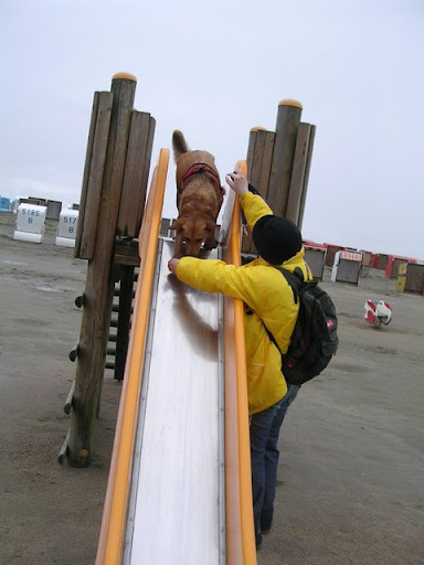 DSCN1847.JPG