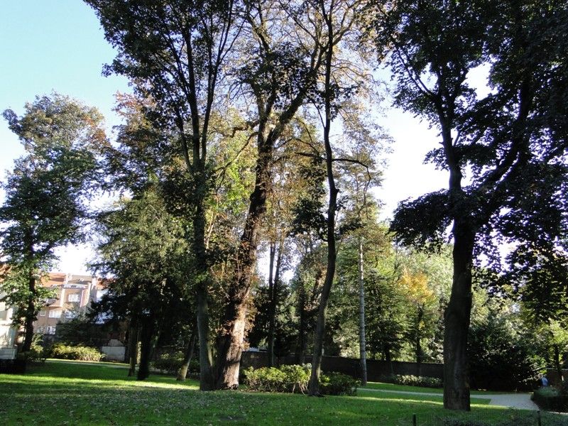 MI BRUSELAS - Blogs de Belgica - Desde mi ventana (6)