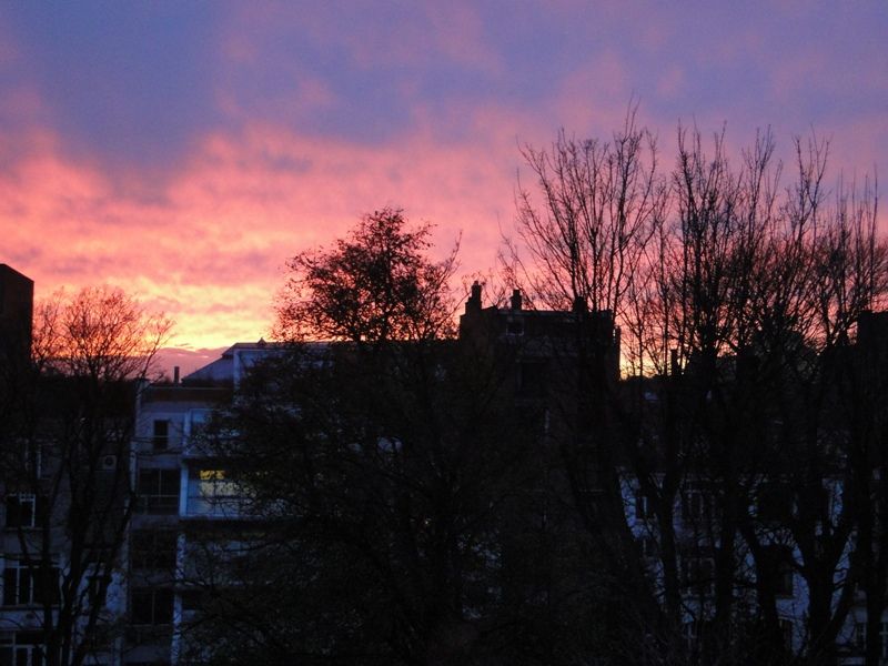 MI BRUSELAS - Blogs de Belgica - Desde mi ventana (5)