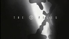 [Thexfiles[2].jpg]
