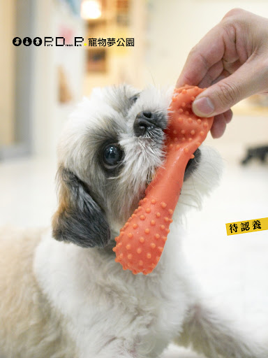 http://lh6.ggpht.com/_x_pfLbAj_EM/ST6GXuCRwJI/AAAAAAAAD0E/dor1FFE-4u8/s512/8C095804.jpg