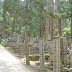 More, and older graves.