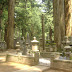 Graves... And big trees! I'd like to be buried here :3