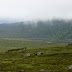 Between Bundoran and Dublin