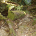 DSCF1565.JPG