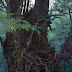 DSCF1581.JPG