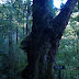 DSCF1580.JPG