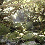 DSCF1612.JPG