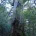 DSCF1616.JPG