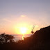 This was close to the Yakushima JR hotel. Unfortunately I couldn't get closer to the sea. The sunsets were breathtaking there :D
