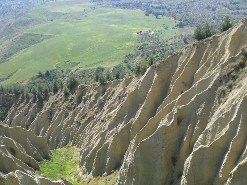 POMARICO FrameSet POMARICO HD PHOTOS 2009