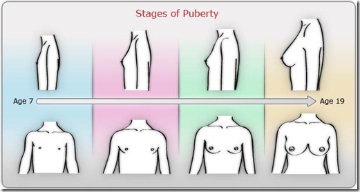 stages-puberty-female