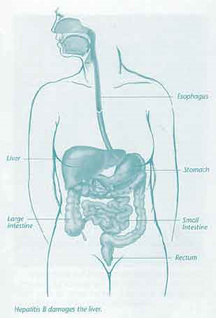 [image[9].png]