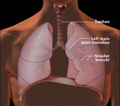 r7_respiratory