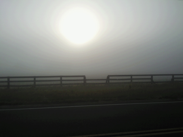 [foggy2[2].png]