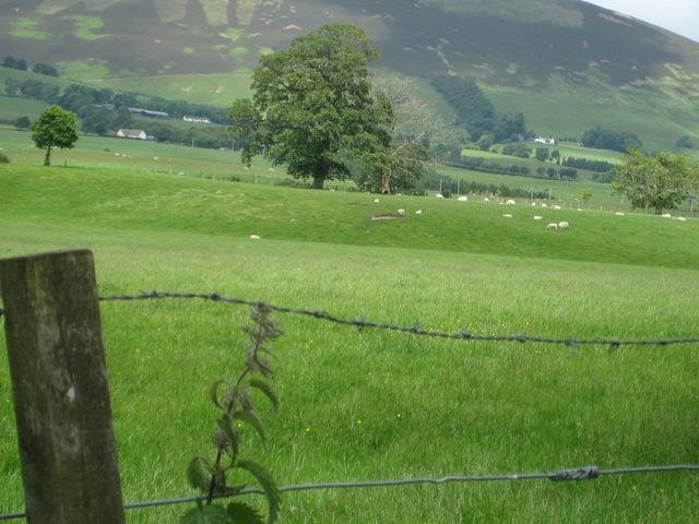 [2009-06-18  Scot and Lake District 036[3].jpg]