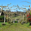 Reis april2010 001.JPG