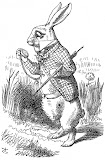 alice-white-rabbit.jpg