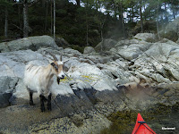 DSCF1029.JPG (Søvik, Hordaland, Norway) Photo