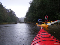 DSCF1176.jpg