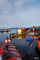 Kursdel leirdueskyting Photo