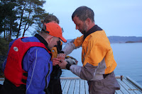 Skarv med ring Photo