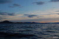 Blått Photo