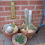 kimo's Container garden