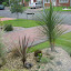 kimo's Front garden