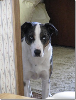 March 2009 003