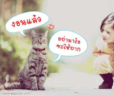 คลิกๆๆ รูปสวยๆน่ารักๆไว้ส่งต่อเพียบ...