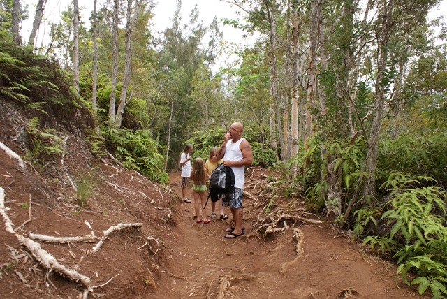 [Maunawili hike 177[3].jpg]