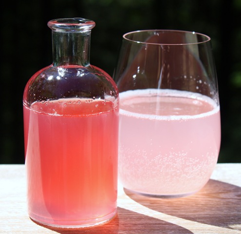 [rhubarbgingersyrupforsodaseltzercock[2].jpg]