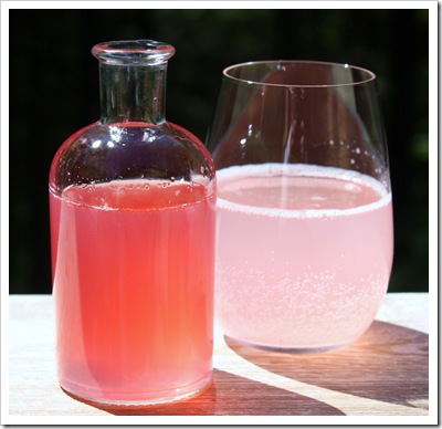 rhubarb ginger syrup for soda seltzer cocktails spring brunch rhubarb ginger syrup for soda seltzer cocktails spring brunch