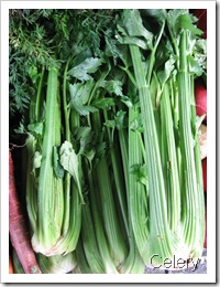 CELERY