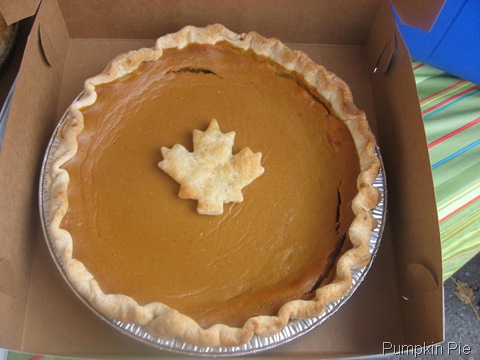 [pumpkin pie[13].jpg]