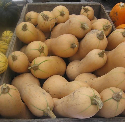 [butternut squash[3].jpg]