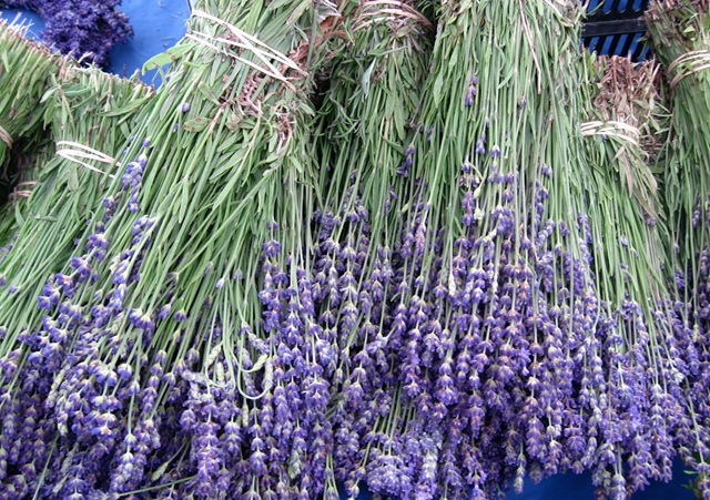 [lavendar bunches[4].jpg]