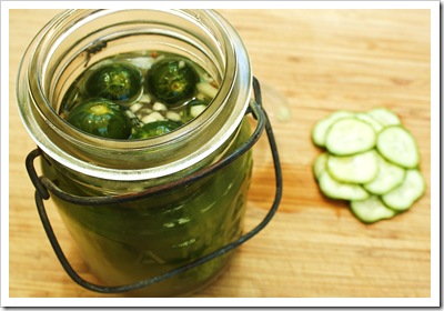 half sour pickles kirby cucumber