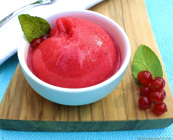 [redcurrantsorbetwithlimezestraytouse[1].jpg]