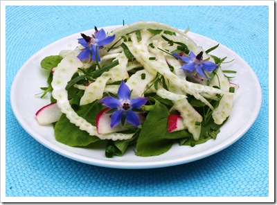 fennel arugula herb salad with borage, tarragon, chives, basil, radish fennel arugula herb salad with borage, tarragon, chives, basil, radish