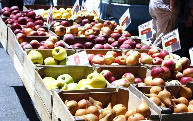 [apples pears migliorelli[9].jpg]