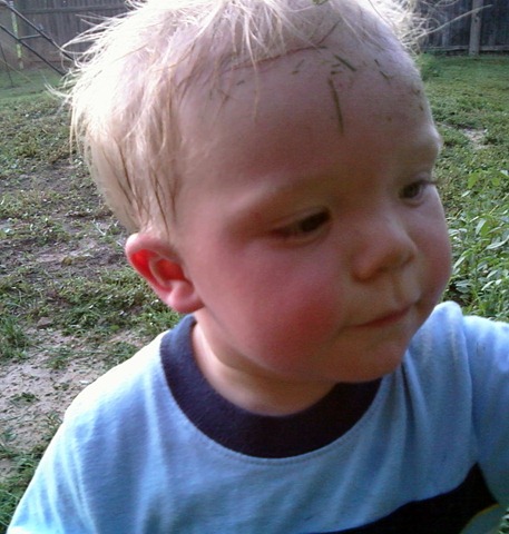 [July 18 2010 Phone pics 259[4].jpg]