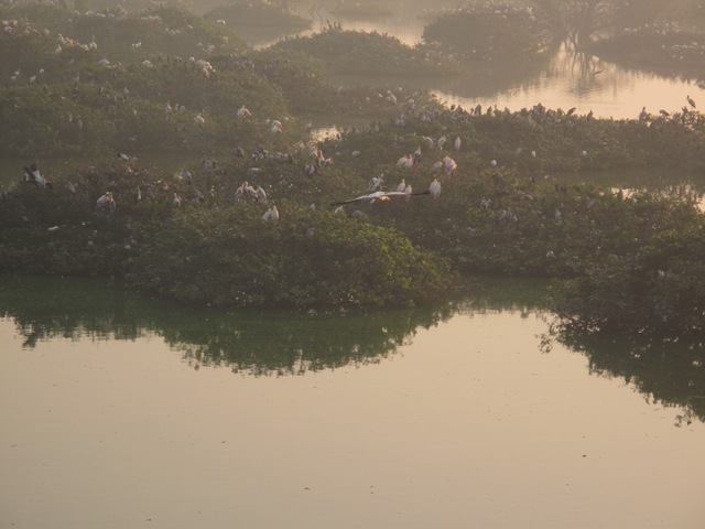 [IMG_31663.jpg]