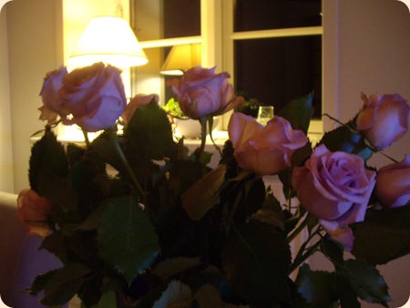 IMGP0220