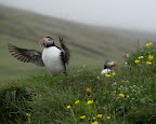 P7064884.JPG